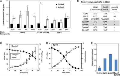 Transcriptomic Changes Induced by Deletion of Transcriptional Regulator GCR2 on Pentose Sugar Metabolism in Saccharomyces cerevisiae